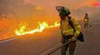 Un devastador incendio forestal en el sur de España dejó al menos 12 muertos y 23 personas desaparecidas
