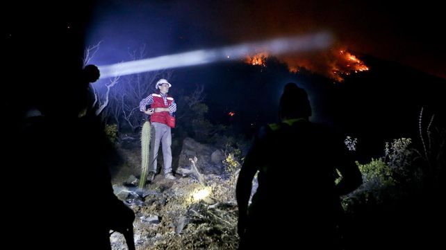 Las imágenes más estremecedoras de los incendios forestales en Chile