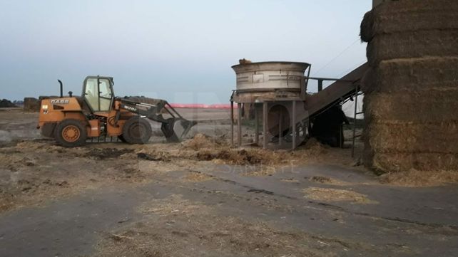 Murió al caer a una máquina picadora de forraje