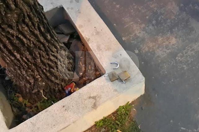 Los candados que violentaron los delincuentes para ingresar al comercio.