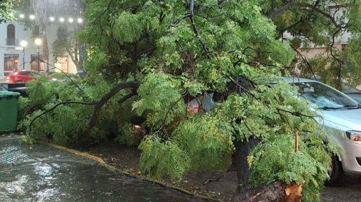 Tras un temporal con vientos de unos 100 km/h, se mantiene el alerta amarillo