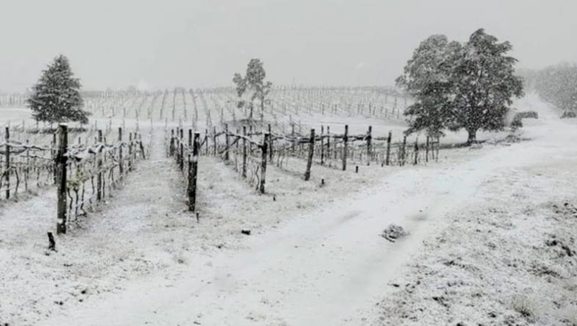 Rescataron al contingente de alumnos rosarinos varado por la nieve en el Champaquí