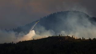 Desfinanciamiento ambiental: el costo socioecológico del ajuste