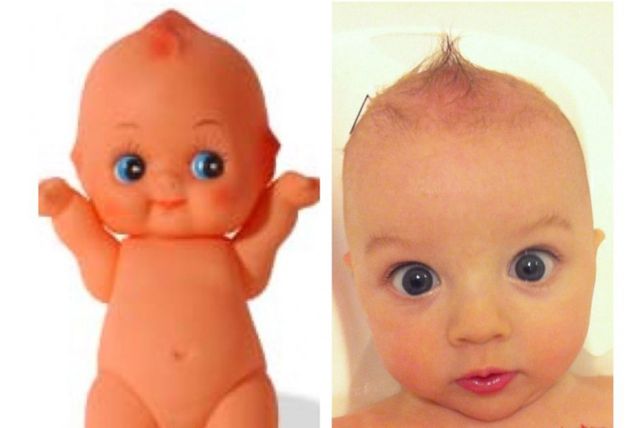 Personas, animales y objetos que son similares entre sí