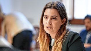 Prevenir estafas. La diputada Lionella Cattalini presentó un proyecto para consultar información oficial sobre loteos antes de comprar.