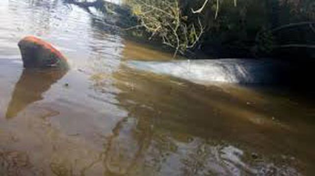 Una ballena remontó el río Paraná hasta Escobar, pero no sobrevivió