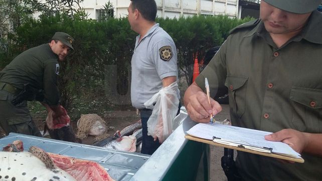 Secuestraron e incineraron casi media tonelada de pescado no apto para consumo humano