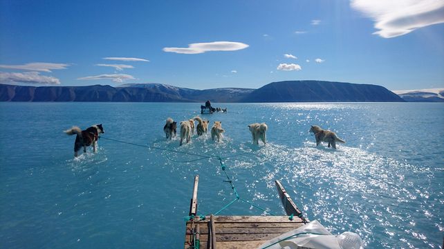 El cambio climático podría llevar a una gran catástrofe a la humanidad si no se toman urgentes medidas.