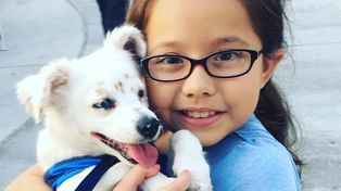 La historia de Julia y Walter, la niña y su perro sordos que se comunican por lenguaje de señas