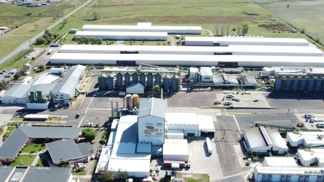 Digitalización: el nuevo salto para el maíz