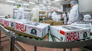 Rafaela alimentos. El frigorífico tiene plantas en Rafela y Casilda