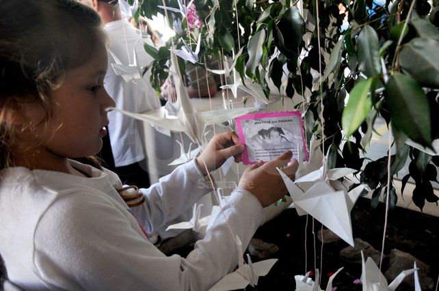 La marcha realizada por familiares y amigos de Diana.