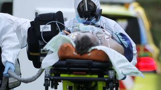 Otras 371 personas murieron y 11.786 fueron diagnosticadas con coronavirus en el país