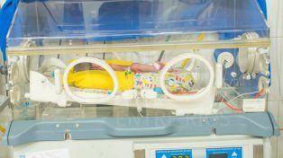 En la capital entrerriana funcionan cuatro áreas de Neonatología, tres de ellas son privadas y una pública. En todas trabaja un equipo profesional e interdisciplinario que no sólo atiende en las necesidades médicas de cada bebé, sino que además contienen emocionalmente a los padres y madres cuyos sus hijos e hijas están internados.