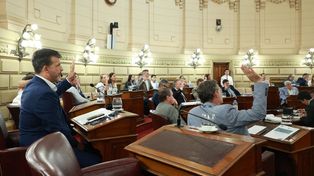 El Senado le dio luz verde a la restricción para empleados públicos.