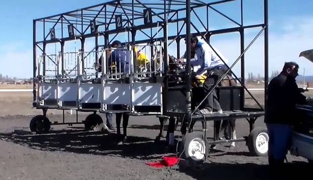 Un jockey de Chubut murió en plena carrera aplastado y golpeado por el caballo