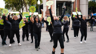 Con un divertido baile, pusieron en marcha la prevención contra el dengue