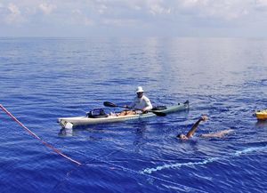 Nadadora de 62 años sigue cruzando de Cuba a EEUU sin protección