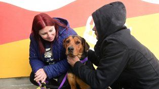 La ciudad de Santa Fe tendrá la primera carrera de pedestrismo con perros