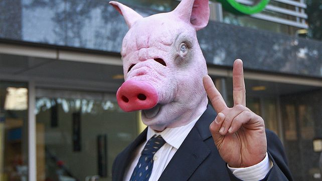 Científicos crearon el primer híbrido entre humano y cerdo