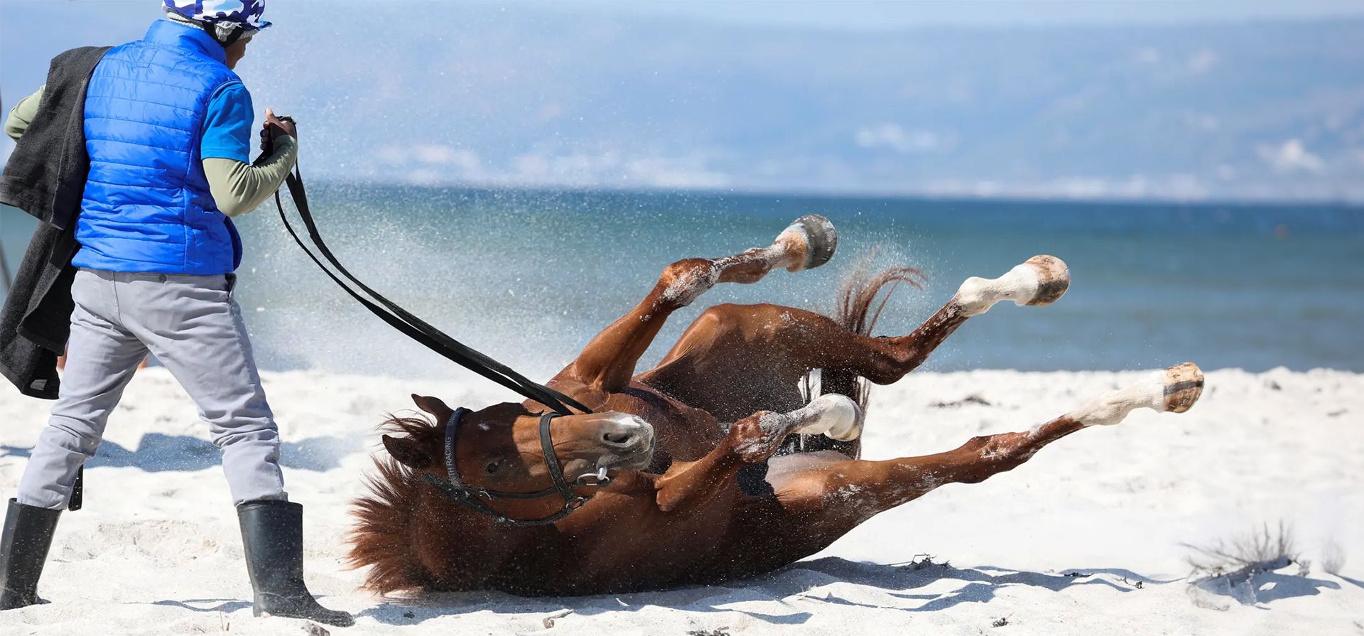 Un caballo de carreras disfruta de un revolcón en la arena durante un desfile en la playa de Muizenberg, Ciudad del Cabo, Sudáfrica. Fotografía: Esa Alexander/Reuters Un caballo de carreras disfruta de un revolcón en la arena durante un desfile en la playa de Muizenberg, Ciudad del Cabo, Sudáfrica. Fotografía: Esa Alexander/Reuters