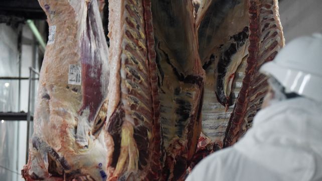 Exportación. El rebrote de coronavirus en Europa afecta a un destino importante de la carne argentina.