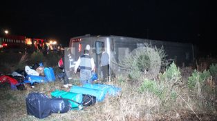 Una combinación peligrosa: falta de luz y animales sueltos en la ruta