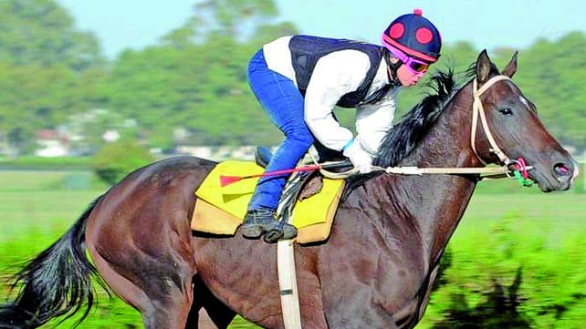Pura sangre, una jockey que deja rastro