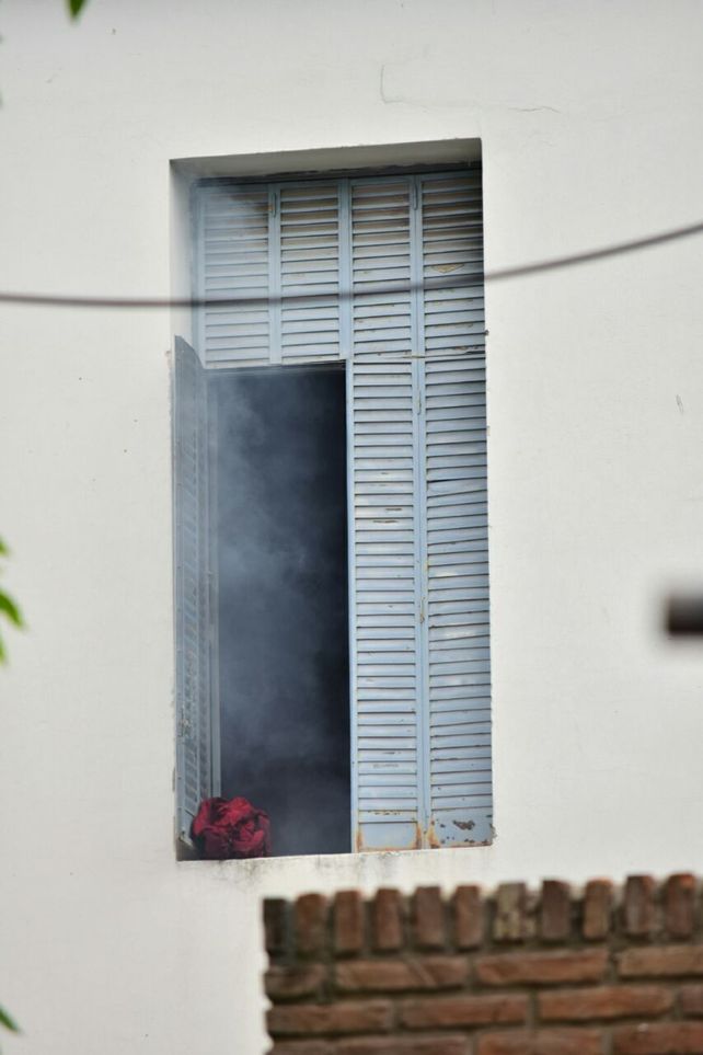 Foto Gentileza Fernando López.&nbsp;