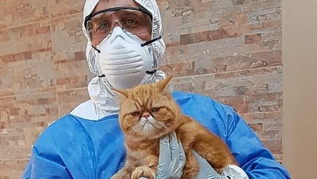 El equipo liderado por Nadia Fuentealba y Javier Panei y Fernando Rivero y David Di Lullo