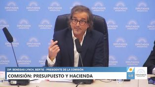 Presupuesto 2026: ya hay dictamen para llevar al recinto