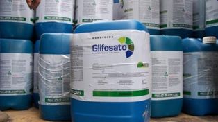 El Concejo Municipal prohibió la utilización y venta del herbicida Glifosato en la ciudad