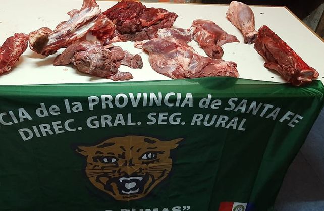 Secuestraron carne de dos vacunos robados y aprehendieron al encubridor