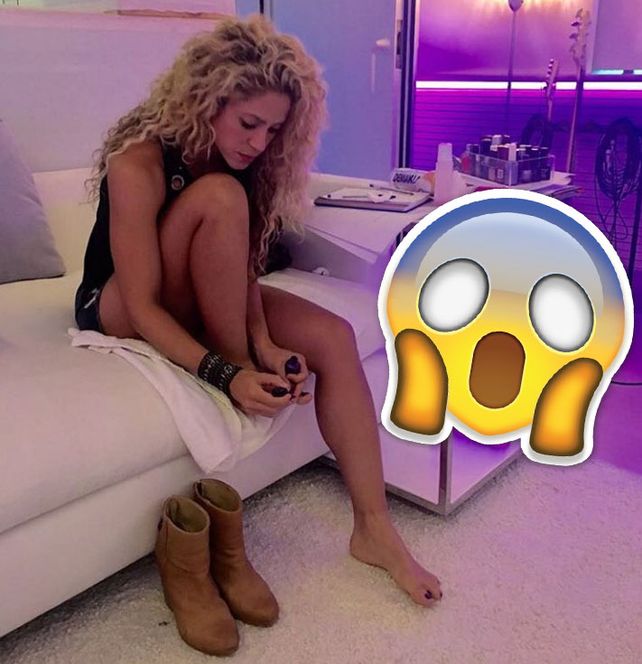 ¿Shakira se sacó una foto con un chiche sexual?