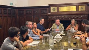 &nbsp;El tratamiento continuará en el Senado en los próximos días, en el marco del debate legislativo de una de las reformas institucionales derivadas de la nueva Constitución santafesina.&nbsp;