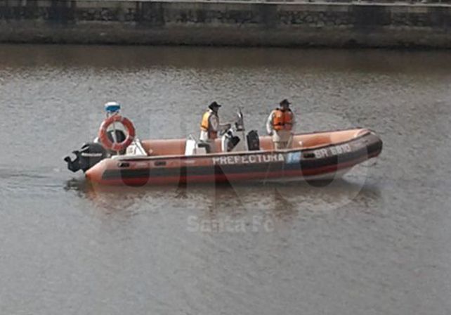 Apareció un yacaré en el Puerto y lo trasladaron a la granja La Esmeralda