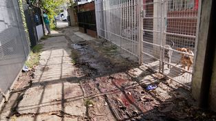 El pasillo de Estado de Israel y Ayacucho en el que fue ejecutado a balazos Brian Nahuel Orellano, de 23 años.