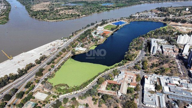 Los fuertes vientos acumularon la vegetación en la parte norte del lago.