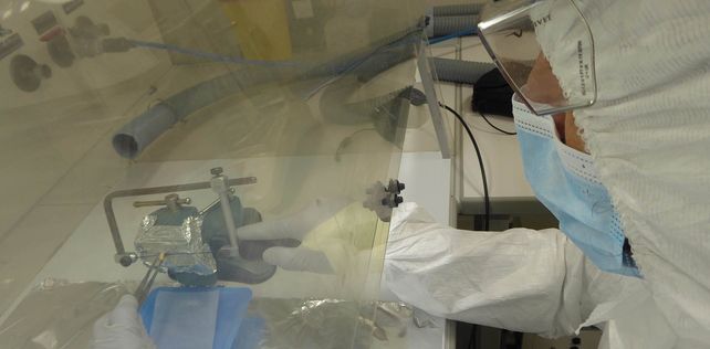 El estudio fue llevado a cabo por científicos de Conicet del Instituto de Antropología de Córdoba 