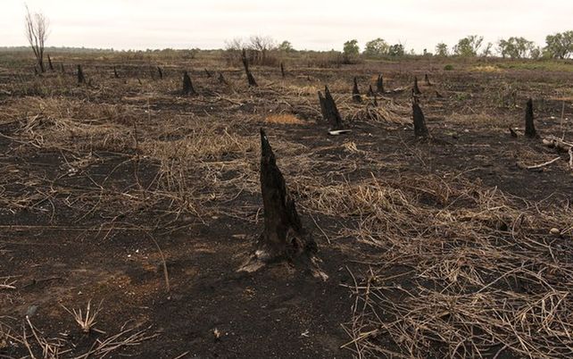 Luego de cinco meses llovió en Córdoba y se extinguieron los incendios serranos