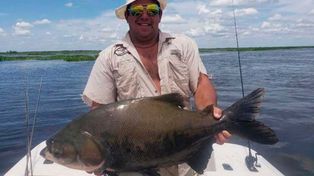 Capturaron un pez amazónico en el Paraná y advierten por un posible daño ecológico