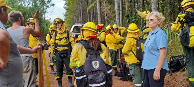 Los bomberos santafesinos trabajan intensamente para salvar selva autóctona