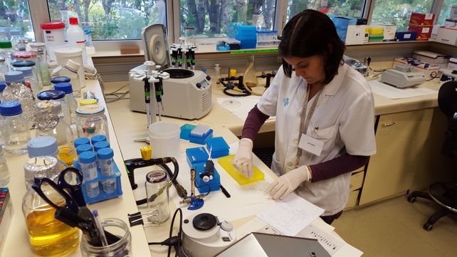 Adelanto. El nuevo fármaco expone al virus y permite atacarlo.