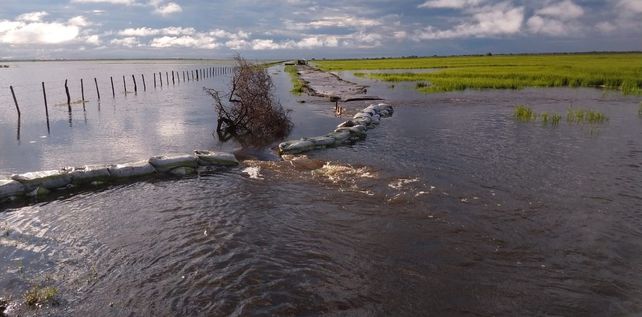 La Nación declaró la emergencia hídrica en las zonas inundadas del NOA y el Litoral