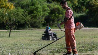 Diplomatura en Ejecución y Mantenimiento de Espacios Verdes