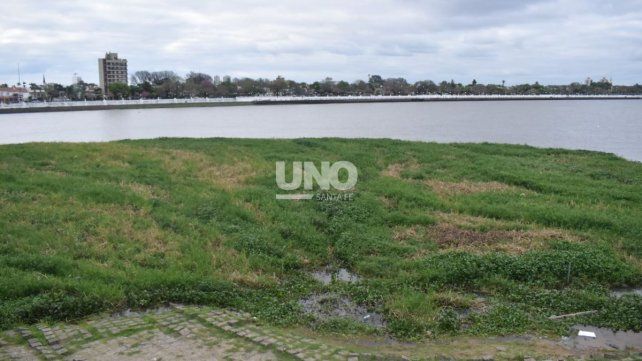 Preocupación en los clubes náuticos por el crecimiento del embalsado en el Richo Santa Fe. Foto: José Busiemi / UNO Santa Fe