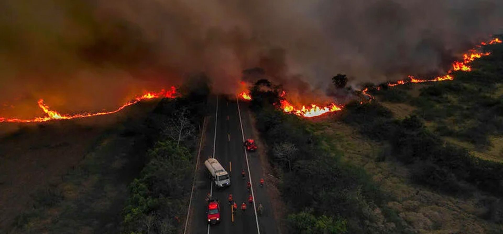 En el 2024, la Amazonia brasileña, sufrió la peor ola de incendios de la última década. En el 2024, la Amazonia brasileña, sufrió la peor ola de incendios de la última década.