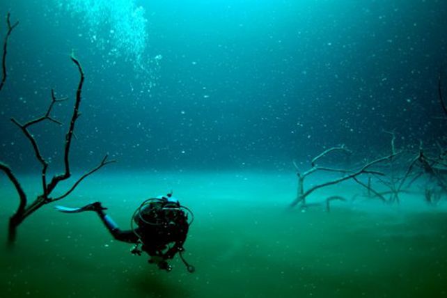 Encuentran un misterioso río bajo el mar
