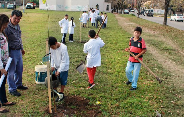 Plan de Arbolado: este año se plantarán más de 6500 ejemplares en toda la ciudad
