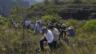 Descubren 36 especies de flora y fauna en la Amazonia colombiana